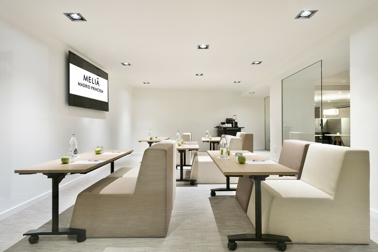 Hotel Meli� Madrid Princesa