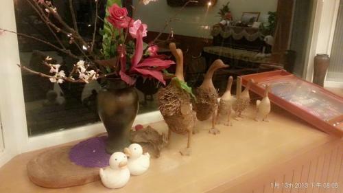 Bed & Breakfast Spring Villa