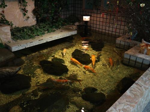 Posada Sanmin Hotel