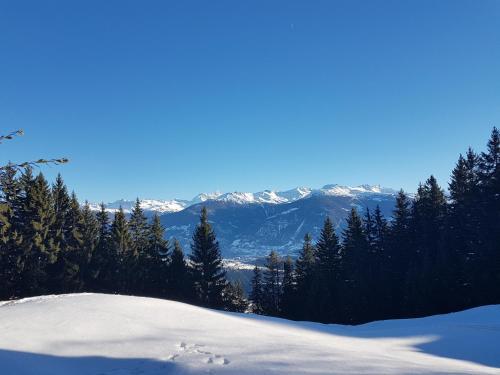 Albergue Holidays Groupes Anz�re