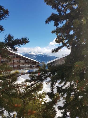 Albergue Holidays Groupes Anz�re