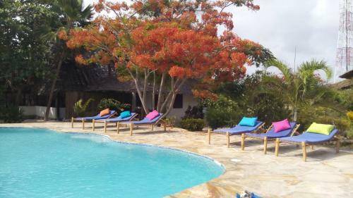 Apartamento The Coco Paradise