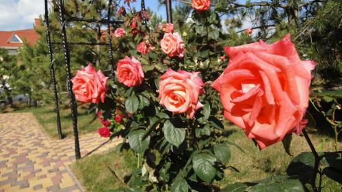Hostal Villa Sosnovy Bor