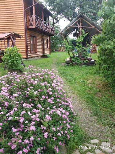 Mandrivnyk