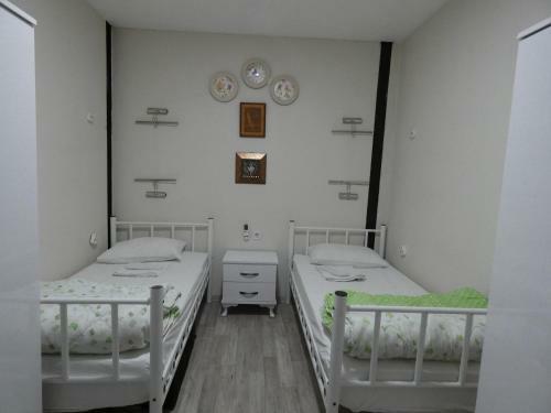 Rooster Hostel