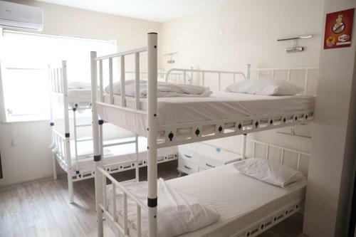 Rooster Hostel