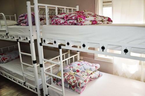 Rooster Hostel