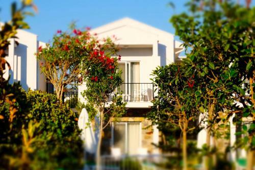 Kalina Hotel