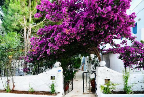 Bed & Breakfast Misket Hotel Bodrum