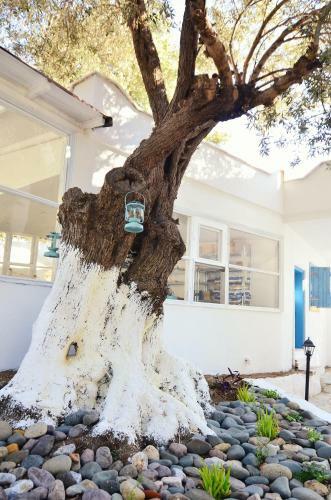 Bed & Breakfast Misket Hotel Bodrum