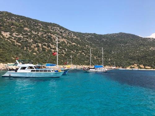 Likya Villa 44
