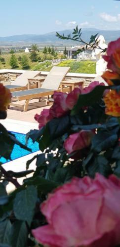 Hotel Nea Efessos