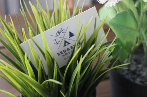 Bedandbike Hostel