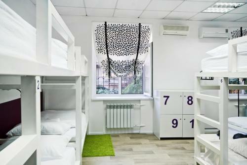 Maxi House Hostel