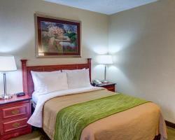 Hotel Comfort Inn And Suites