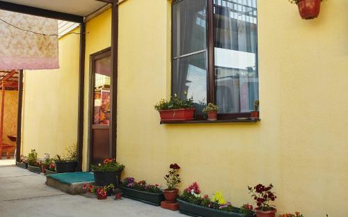 Hostal Diana Guest House