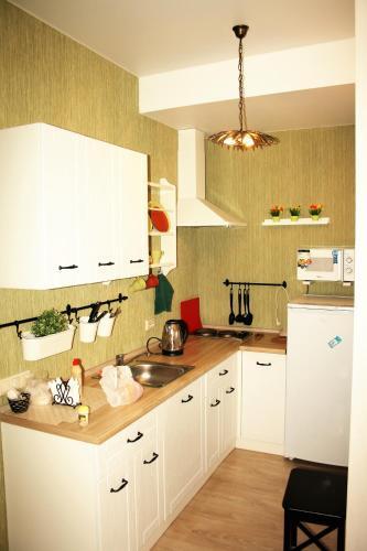 Apartment Nika