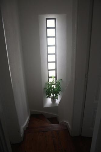 Casa Do Farv�o