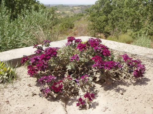 Agroturismo Monte Das Mariolas