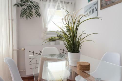 S?oneczny Apartament
