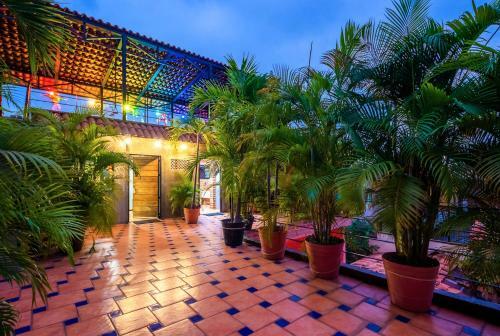 Hostal Pi�ata Pv Gay Hotel