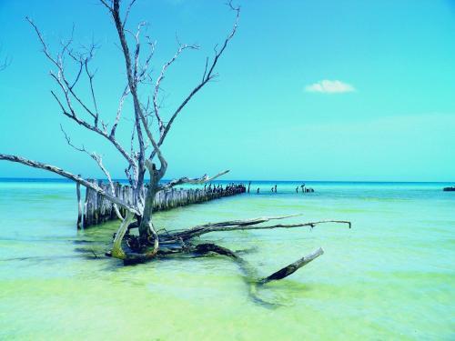 Hotel Holbox Casa Punta Coco - Adults Only