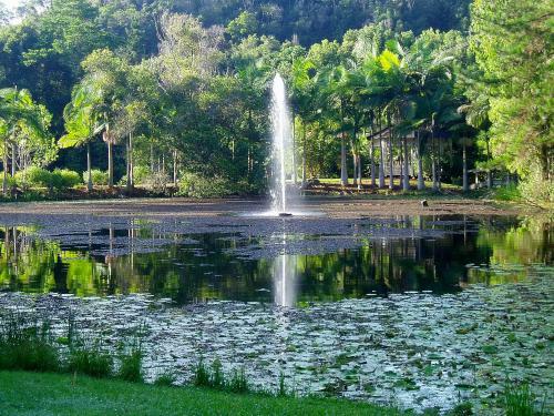 Lodge Mt Warning Rainforest Retreat