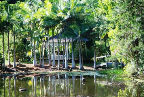 Lodge Mt Warning Rainforest Retreat