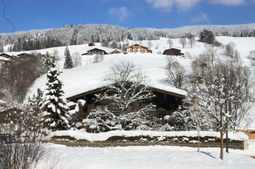 Apartamento Forsthaus Pernthaner