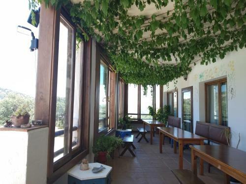 Agroturismo Algaba De Ronda
