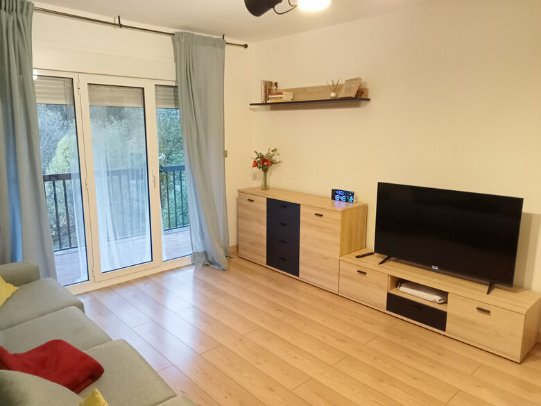 Apartamento Valle De Tena - Biescas