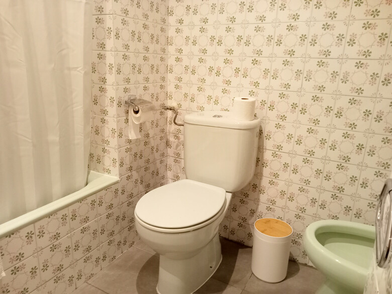 Apartamento Valle De Tena - Biescas