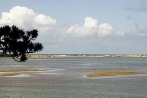 Baywood Shores B&B