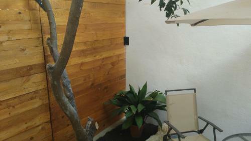 Apartamentos Fernando El Catolico