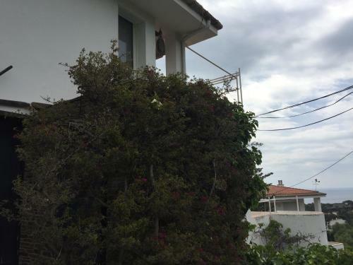 Apartamento Casa Del Pi