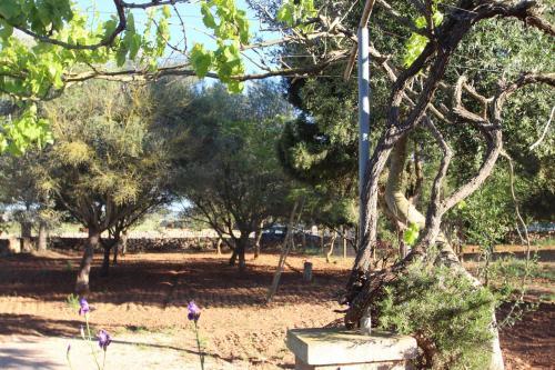 Villa Es Tres Pins