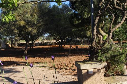 Villa Es Tres Pins