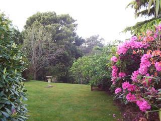 Hotel Donalea Bed & Breakfast Castle Forbes Bay