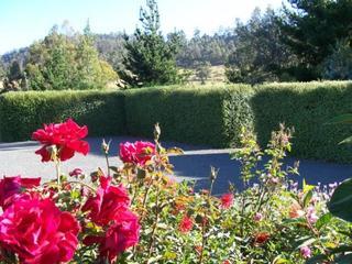 Hotel Donalea Bed & Breakfast Castle Forbes Bay