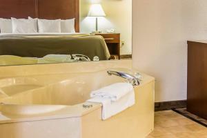 Hotel Comfort Inn