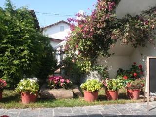 Apartamentos La Regalina