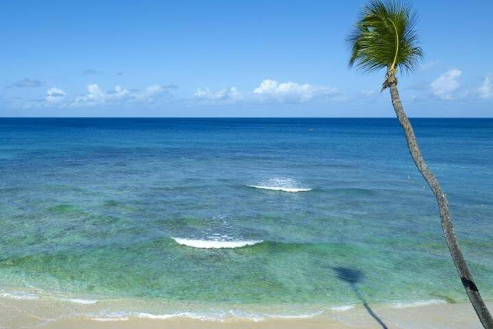 Hotel Tamarind Cove