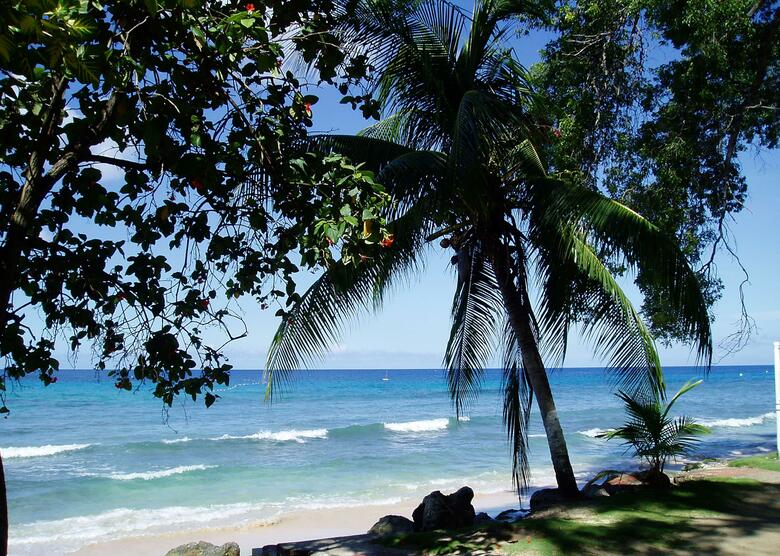 Hotel Divi Southwinds Beach Resort