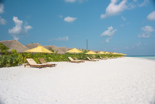 Hotel Dhigufaru Island Resort