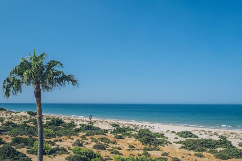 Hotel Iberostar Waves Royal Andalus