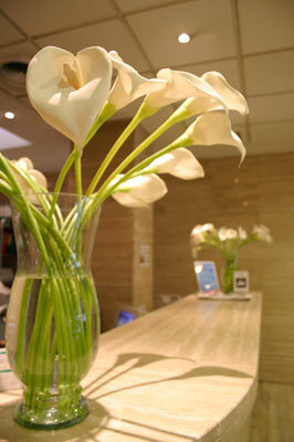 Hotel Artiem Madrid