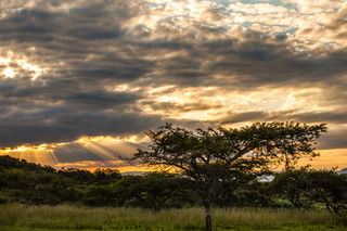 Hotel Likweti Lodge