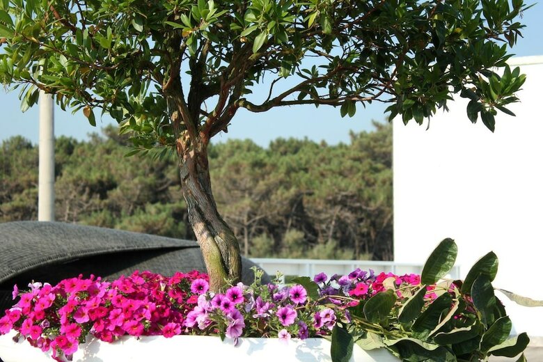 Hotel Mosaico Beach Resort