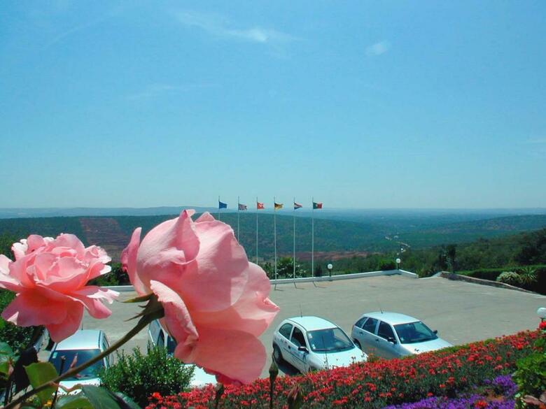 Hotel Alte