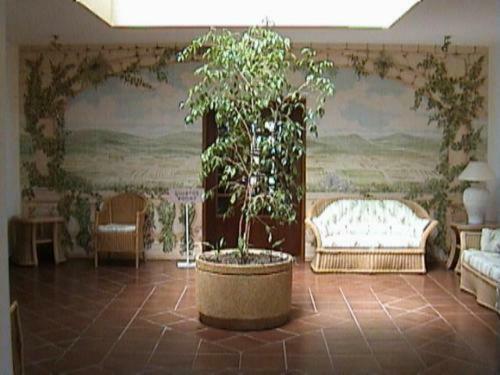 Hotel Alte